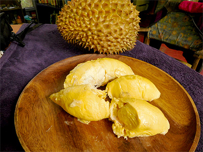 golden temple durian plate1