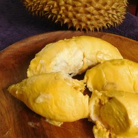 Asanté Gardens ~ Golden Temple Durian